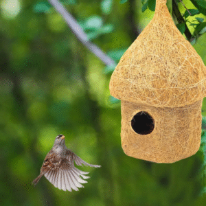 Coconut Fiber Bird House for Small Birds – Eco-Friendly Hanging Nest (Pack of 2)