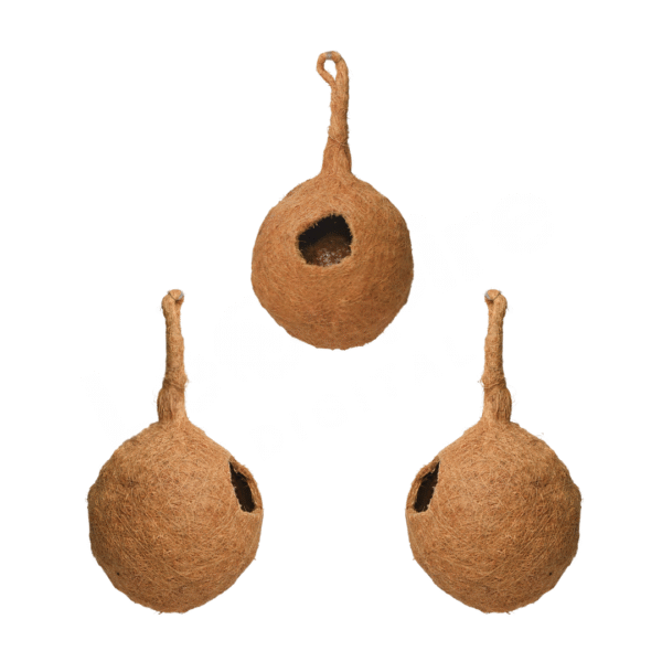 Hanging Bird Nest for Garden & Balcony – Eco-Friendly Jute Nest for Small Birds (Pack of 2)