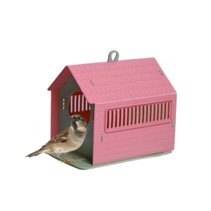 Plastic Bird House for Small Birds – Multicolor | Foldable Nesting Box (Pack of 2)