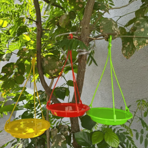 Hanging Bird Water Feeder | Sparrow Hanging Hook Feeder Bird Water Feeder | Designer Bird Feeder & Bath | Water Feeder for Birds
